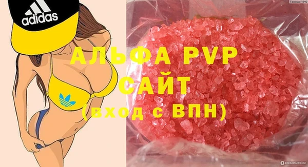 трава Бородино
