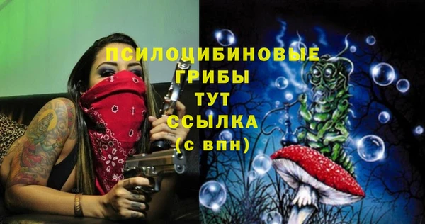 трава Бородино