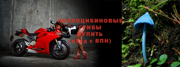 трава Бородино