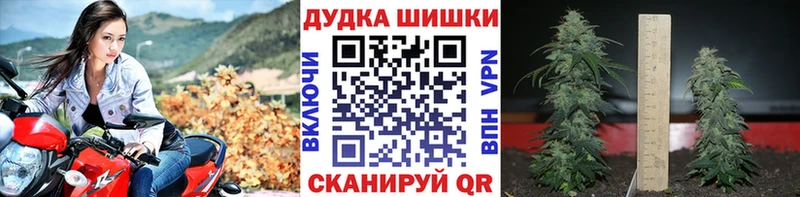 МАРИХУАНА SATIVA & INDICA Игра